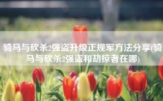 骑马与砍杀2强盗升级正规军方法分享(骑马与砍杀2强盗和劫掠者在哪)