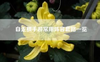 自走棋手游常用阵容套路一览