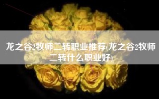 龙之谷2牧师二转职业推荐(龙之谷2牧师二转什么职业好)