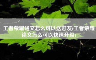 王者荣耀铭文怎么可以送好友(王者荣耀铭文怎么可以快速升级)