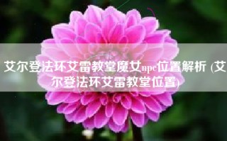艾尔登法环艾雷教堂魔女npc位置解析 (艾尔登法环艾雷教堂位置)
