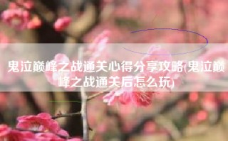 鬼泣巅峰之战通关心得分享攻略(鬼泣巅峰之战通关后怎么玩)