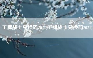 王牌战士兑换码2022(王牌战士兑换码2021)