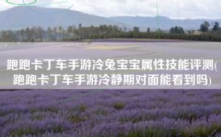 跑跑卡丁车手游冷兔宝宝属性技能评测(跑跑卡丁车手游冷静期对面能看到吗)
