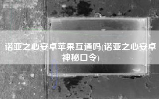 诺亚之心安卓苹果互通吗(诺亚之心安卓神秘口令)