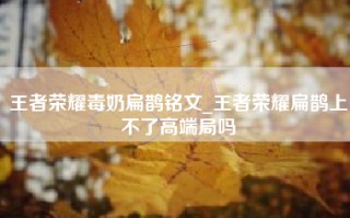 王者荣耀毒奶扁鹊铭文_王者荣耀扁鹊上不了高端局吗