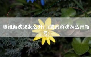 腾讯游戏见怎么开门(腾讯游戏怎么开新号)