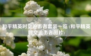 和平精英时空追击者套装一览 (和平精英时空追击者图片)