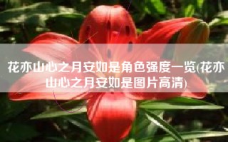 花亦山心之月安如是角色强度一览(花亦山心之月安如是图片高清)
