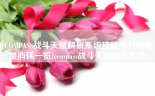 COMPASS战斗天赋解析系统技能卡升级能量消耗一览(compass战斗天赋解析系统)