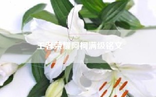 王者荣耀阿柯满级铭文