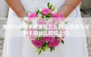 黑暗与光明手游薄荷怎么获得(黑暗与光明手游什么时候上线)