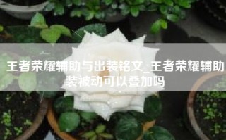 王者荣耀辅助与出装铭文_王者荣耀辅助装被动可以叠加吗