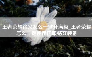 王者荣耀铭文怎么一键升满级_王者荣耀怎么一键使用国服铭文装备