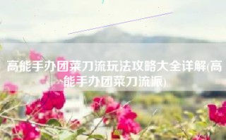 高能手办团菜刀流玩法攻略大全详解(高能手办团菜刀流派)