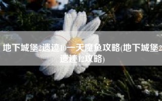 地下城堡2遗迹10一天魔鱼攻略(地下城堡2遗迹12攻略)