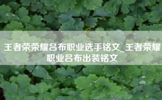 王者荣荣耀吕布职业选手铭文_王者荣耀职业吕布出装铭文