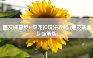 道友请留步40级龙神玩法攻略 (道友请留步破解版)