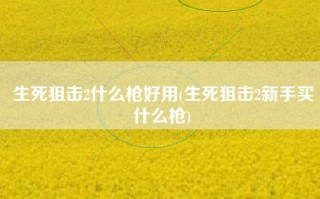 生死狙击2什么枪好用(生死狙击2新手买什么枪)