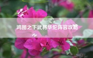 鸿图之下武将华佗阵容攻略