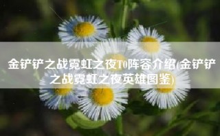 金铲铲之战霓虹之夜T0阵容介绍(金铲铲之战霓虹之夜英雄图鉴)
