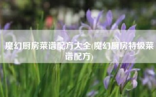 魔幻厨房菜谱配方大全(魔幻厨房特级菜谱配方)