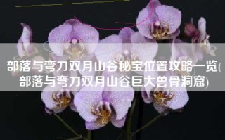 部落与弯刀双月山谷秘宝位置攻略一览(部落与弯刀双月山谷巨大兽骨洞窟)