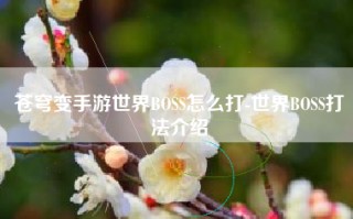 苍穹变手游世界BOSS怎么打-世界BOSS打法介绍