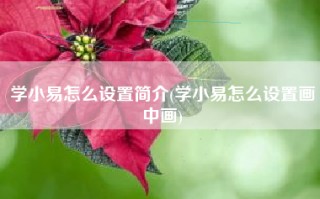 学小易怎么设置简介(学小易怎么设置画中画)