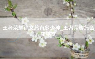 王者荣耀铭文总有多少种_王者荣耀怎么卖铭文