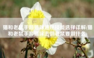 猫和老鼠手游猫咪通用技能选择详解(猫和老鼠手游猫咪击倒老鼠要做什么)