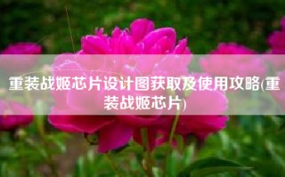 重装战姬芯片设计图获取及使用攻略(重装战姬芯片)