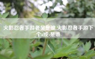 火影忍者手游老吴是谁,火影忍者手游下个a或s是谁