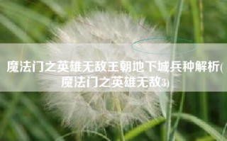 魔法门之英雄无敌王朝地下城兵种解析(魔法门之英雄无敌3)