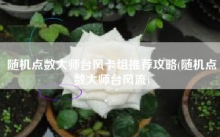 随机点数大师台风卡组推荐攻略(随机点数大师台风流)