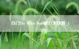 白门The White Door第六天攻略_1