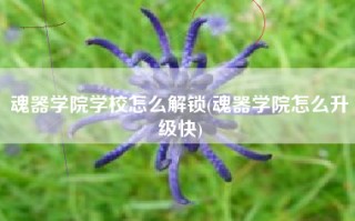 魂器学院学校怎么解锁(魂器学院怎么升级快)