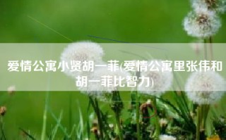爱情公寓小贤胡一菲(爱情公寓里张伟和胡一菲比智力)