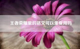 王者荣耀里的铭文可以重复用吗
