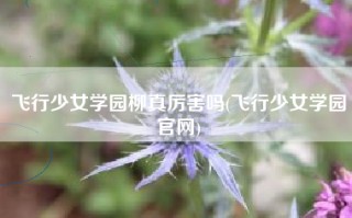 飞行少女学园柳真厉害吗(飞行少女学园官网)