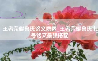 王者荣耀鲁班铭文隐匿_王者荣耀鲁班七号铭文最强搭配