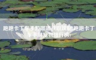 跑跑卡丁车手游嘟嘟获取攻略(跑跑卡丁车手游宠物排行榜)