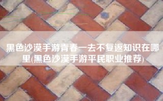 黑色沙漠手游青春一去不复返知识在哪里(黑色沙漠手游平民职业推荐)