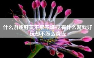 什么游戏好玩不累不烧钱,有什么游戏好玩却不怎么烧钱