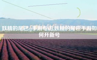 妖精的尾巴cj手游专访,妖精的尾巴手游如何开新号