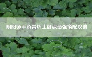 阴阳师手游青坊主御魂最强搭配攻略