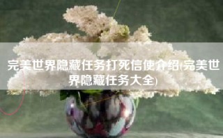 完美世界隐藏任务打死信使介绍(完美世界隐藏任务大全)