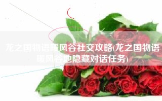 龙之国物语暖风谷社交攻略(龙之国物语暖风谷地隐藏对话任务)