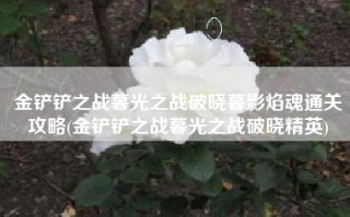 金铲铲之战暮光之战破晓暮影焰魂通关攻略(金铲铲之战暮光之战破晓精英)