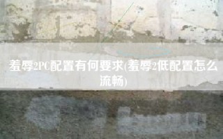 羞辱2PC配置有何要求(羞辱2低配置怎么流畅)